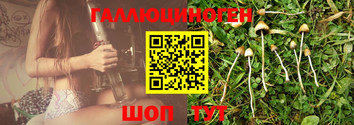 Псилоцибиновые грибы ЛСД Учалы